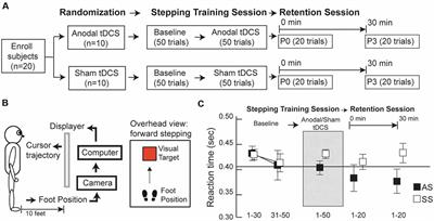 Anodal Transcranial Direct Current Stimulation Enhances Retention of Visuomotor Stepping Skills in Healthy Adults